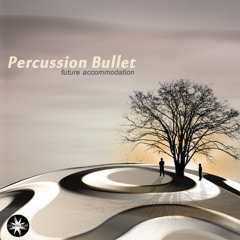 Percussion Bullet - Future Accommodation - Transparent Thought