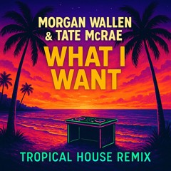 Morgan Wallen & Tate McRae - What I Want (VDJ JD Tropical House Remix)