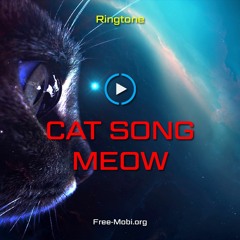 Cat Song Meow