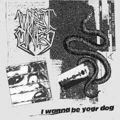 I Wanna Be Your Dog