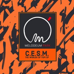 Premiere : C.E.S.M. - The Line (Original Mix) [MLP02]