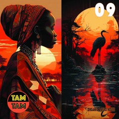 TAM TAM 09 | Organic House & Afro House