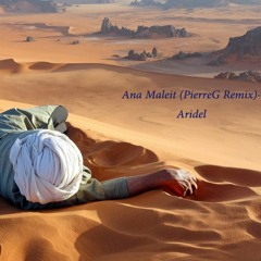 Ana Maleit(PierreG Remix)-Aridel