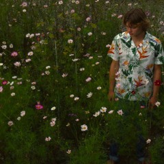 DE BLOEM