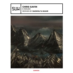 PREMIERE : Chris Gavin - Kinky Party (Original Mix) [SUW]