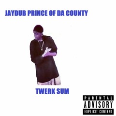 Jaydub Prince Of Da County - TWERK SUM