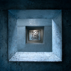 ADAPT OR END UP BITTER AT 40