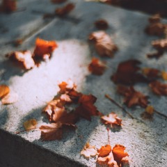 Remorsing