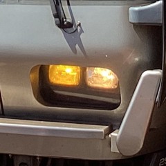 すきすき
