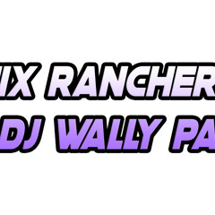 MIX RANCHERAS 2025 PARTE 3 DJ WALLY CHILE