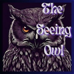 The Seeing Owl