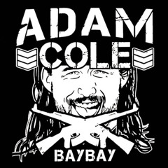 Adam Cole NJPW Theme song+Arena Effects
