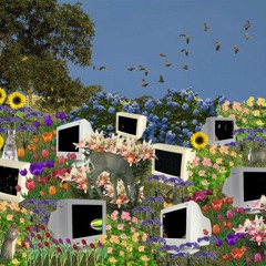 #nfl (faint + forgetrook)