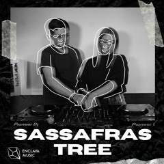 SASSAFRAS TREE - Enclava Music Studio | Guest Set