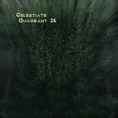 Quadrant 26