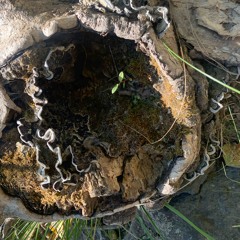 WAAAAAAAAAAAAAAAAAAAH