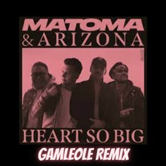 Matoma & Arizona - Heart So Big (Gamleole Remix)