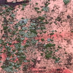 me floating in space ( 0ll00l )