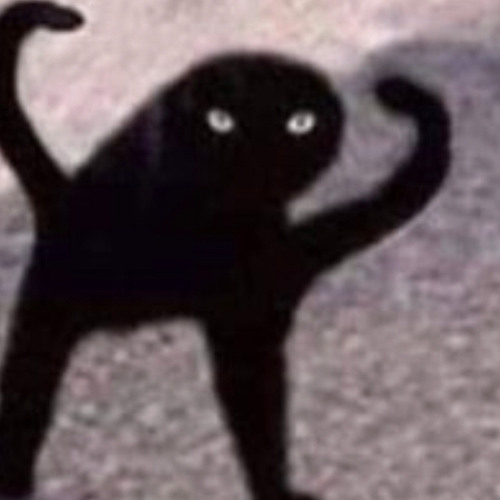 Черный мем кот с музыкой