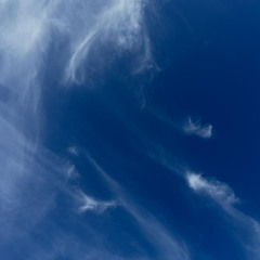 167 | TAS 76 | Only Richie e/ 122 y 130 bpm