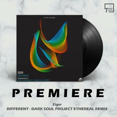 PREMIERE: Ziger - Different (Dark Soul Project Ethereal Remix) [EAT MY HAT MUSIC]