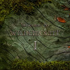 Welcome To Wildemount I: The Adventure Begins...