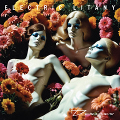 Electric Litany - Reciprocate