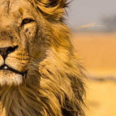 My Life (Prod. LucasQuinn)