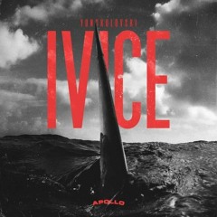 Skarner - Ivice (cover)