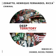 Zonatto, Henrique Fernandes, Ricca  - Criminal (Chunkee Remix)