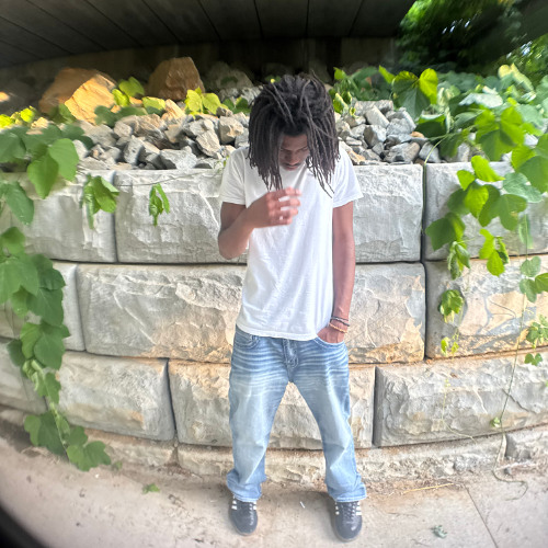 Any Snake - N.C