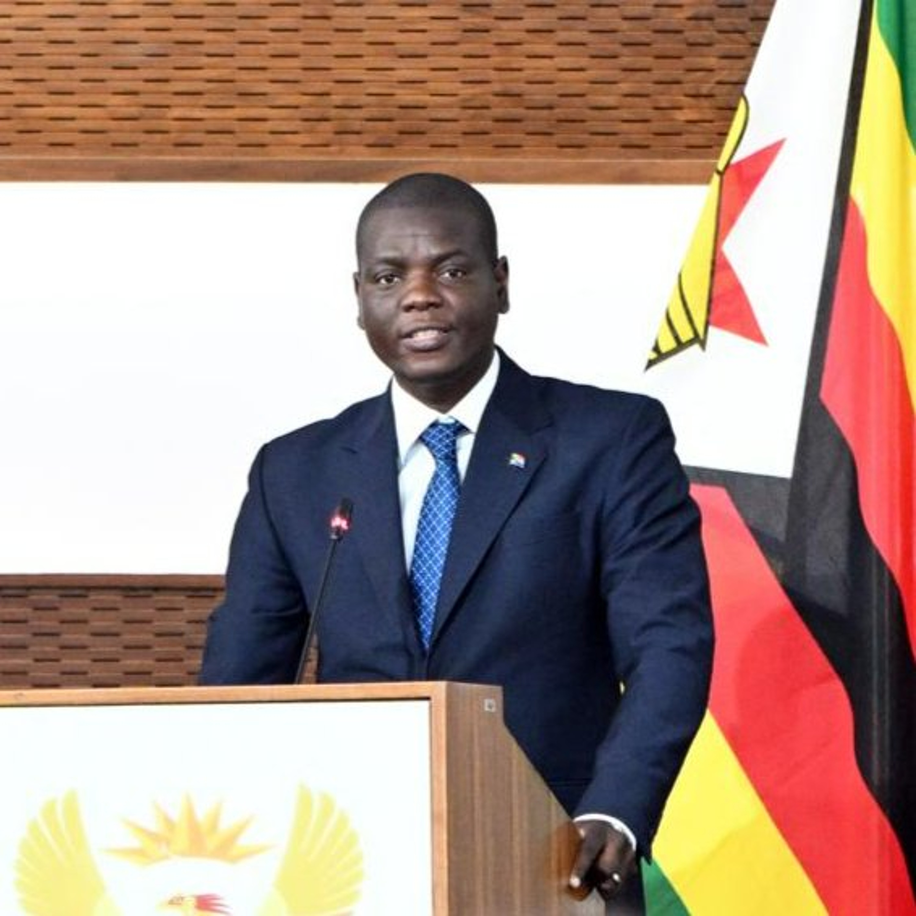Minister Ronald Lamola SA-Zimbabwe BNC Closing Remarks episode artwork