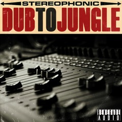Totally Dubwise & Dub Arc Present Dub To Jungle Sample Pack Demos