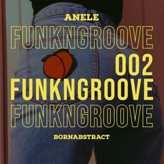 FunkNGroove 002 - Anele x Bornabstract