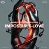 Descargar video: Awakcn & Nathan Brumley - Impossible Love