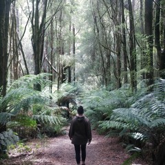 Forest Exploration.mp3