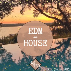 Mix June 2025 - EDM/House