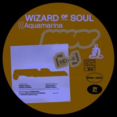 Premiere : Wizard Of Soul. - Aquamarina (MDIGI-X002)