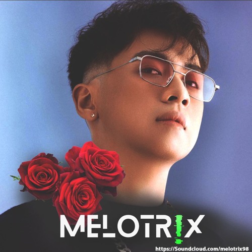 999 Đoá Hồng (MELOTRIX VIP) | Siêu phẩm 2025
