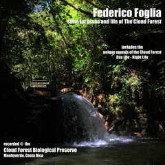 Federico Foglia - Suite For Piano And Life Of The Cloud Forest - Night Life