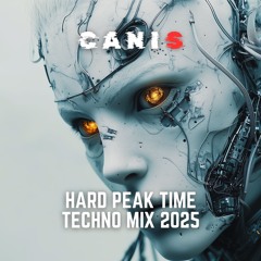 HARD PEAK TIME TECHNO MIX 2025 | BART SKILLS | BRUNO | DANIEL WEIRDO | DYKSTRA | CANIS MIXTAPE