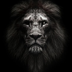 Kasra_Zahedi_-_Shakhe_Gol_(_کسری_زاهدی_-_شاخه_گل_) (SAFI🖤🥀)