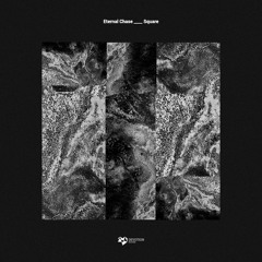 PREMIERE: Eternal Chase - Take your time [Devotion Records]