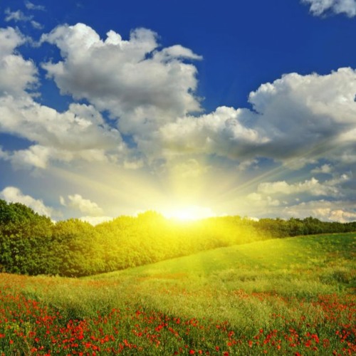 C-Jay&ShaddyboiC-k royalty free background music (FREE DOWNLOAD)