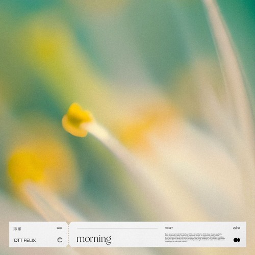 DTT Felix - morning