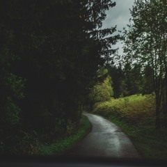 as a ghost before you on the road