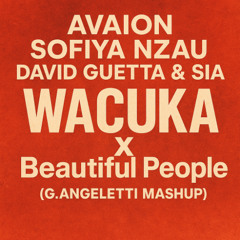 AVAION, Sofiya Nzau X David Guetta & Sia - WACUKA X Beautiful People (G.Angeletti Mashup)