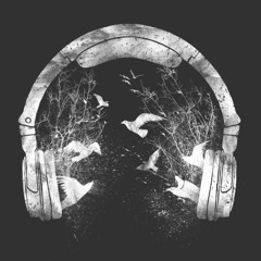 Label Collection - Black Hole Records - Dan Hume