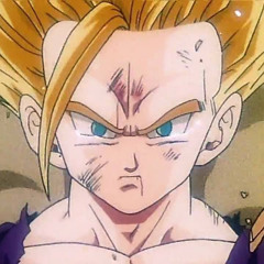 Gohans Anger