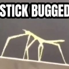 Stick Bug Song (Bee Swarm Simulator)